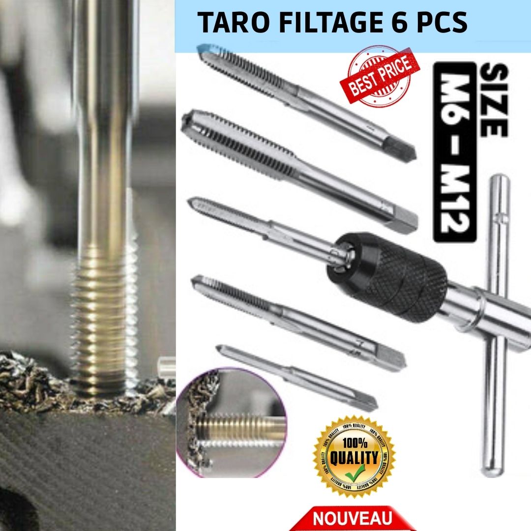 PEUJET TARO FILTAGE 6 PCS 